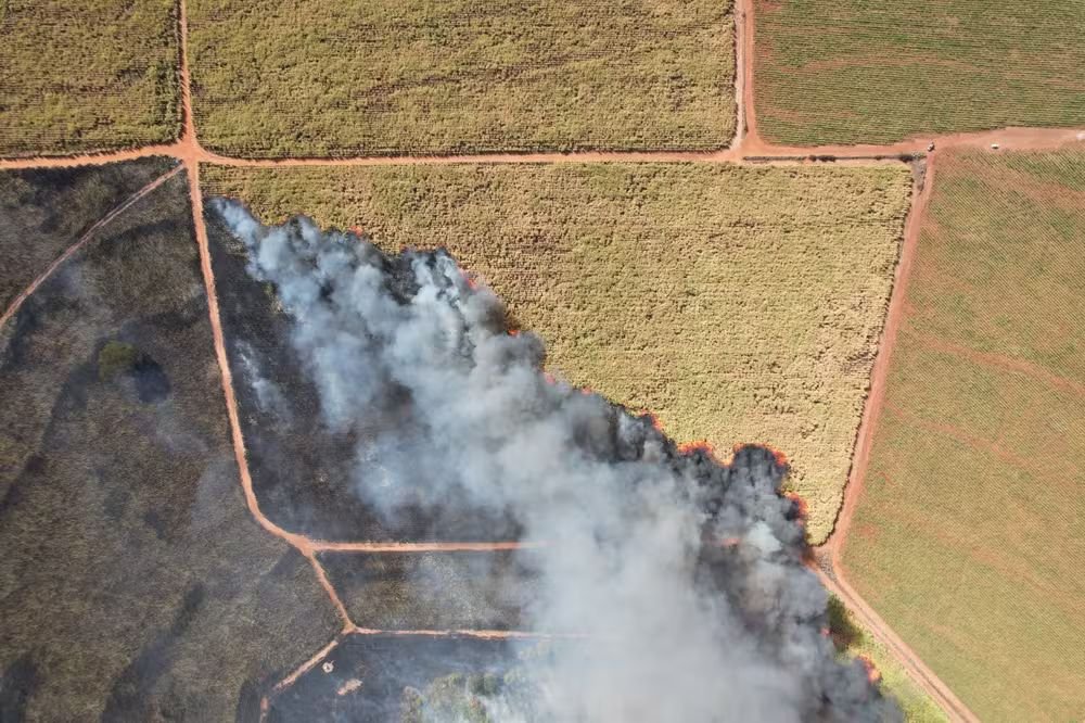 Incêndio de grandes proporções atinge plantação de cana-de-açúcar em Guapiaçu