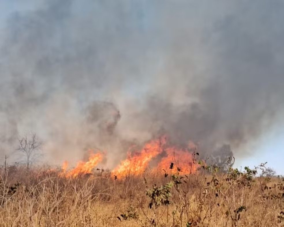 Jovem sofre queimaduras graves ao tentar apagar incêndio em assentamento de Uberlândia