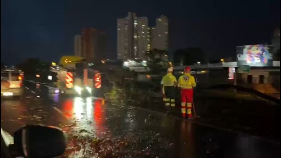 Chuva em São José do Rio Preto (SP) derruba árvore e interdita parcialmente a Rodovia Washington Luís