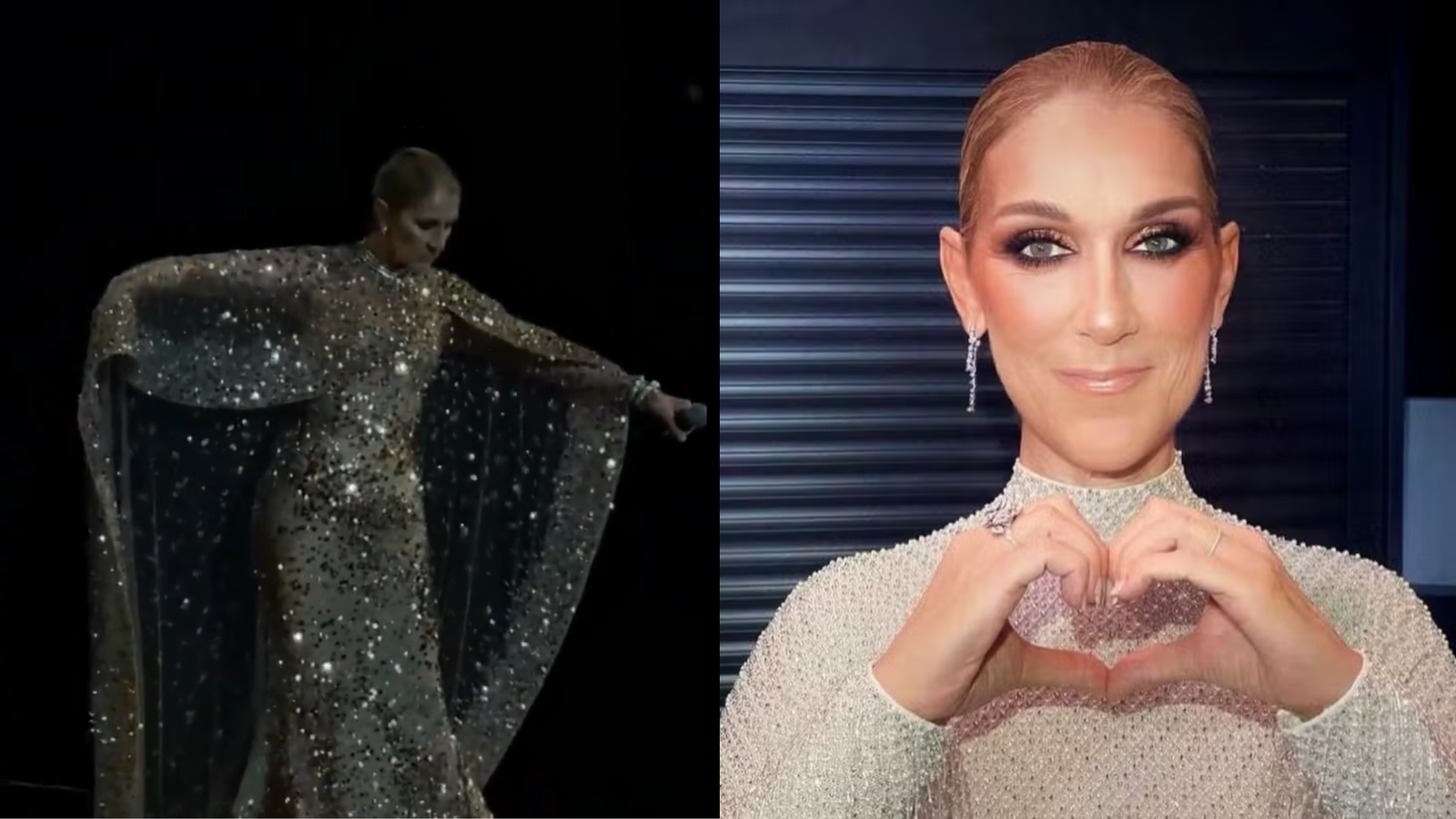 Céline Dion brilha em apresentação durante desfile na Arábia Saudita